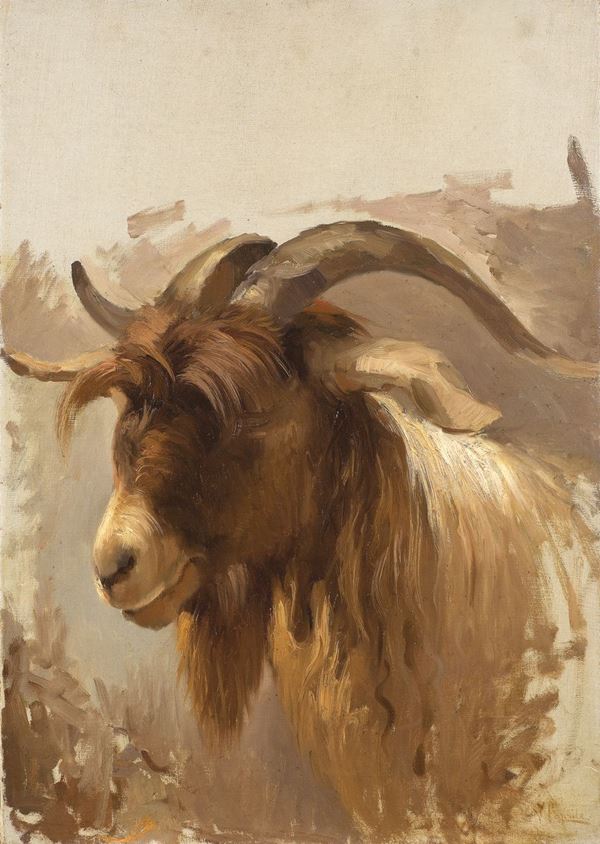 Vincenzo Caprile