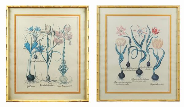 A pair of prints  (20th century)  - Auction Online Christmas Auction - Colasanti Casa d'Aste