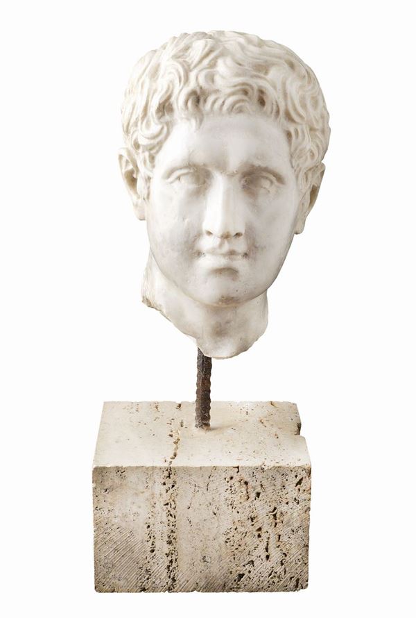 Testa in marmo bianco statuario