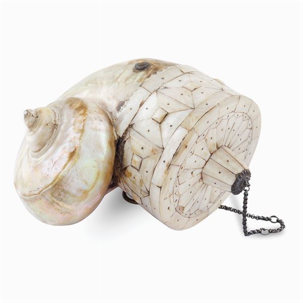 A mother-of-pearl shell