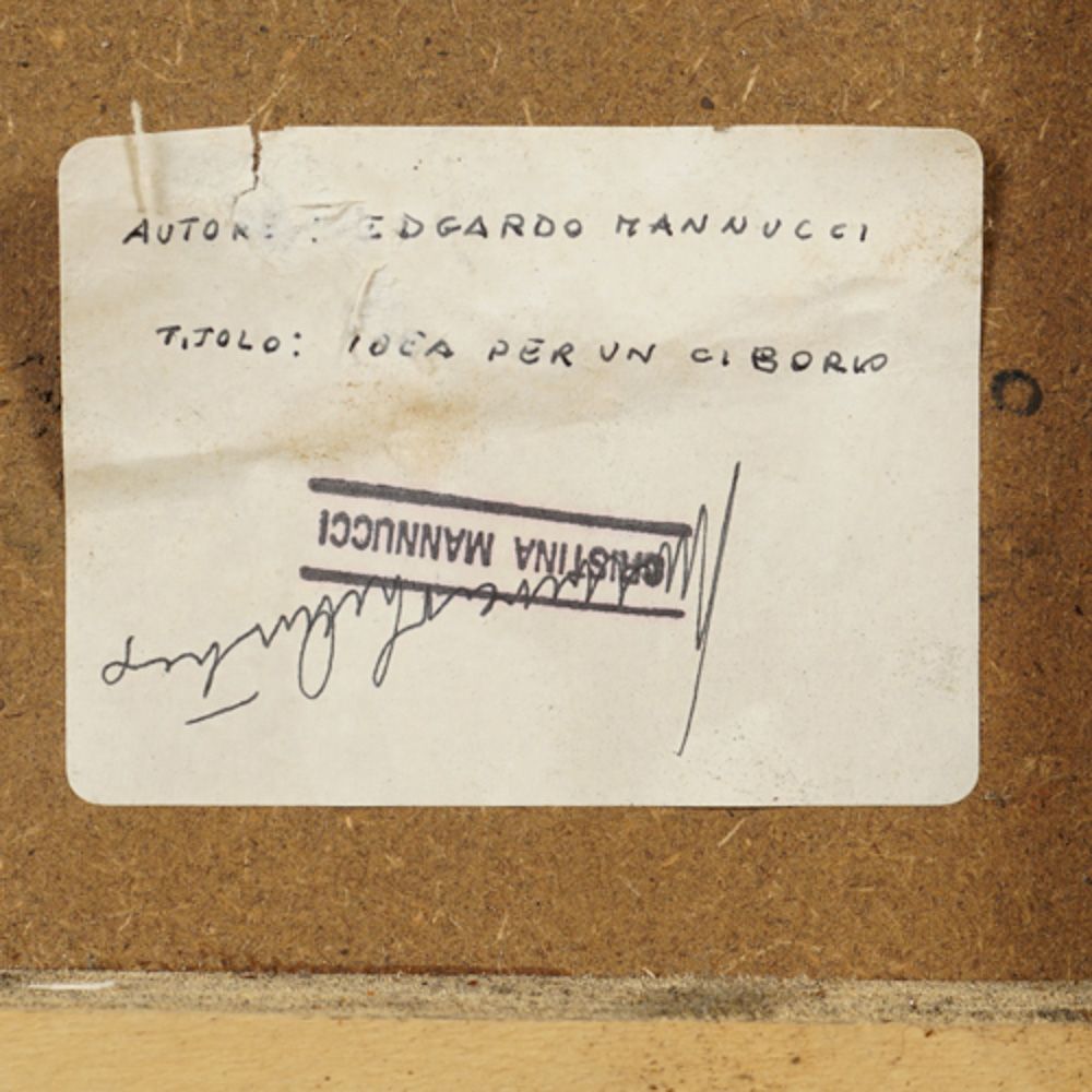 Edgardo Mannucci