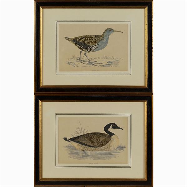 Pair of prints