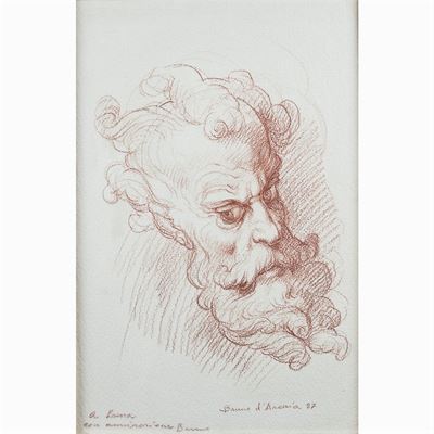 Bruno D'arcevia