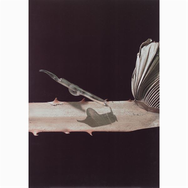 Davide Sebastian : Davide Sebastian  (Roma 1981)  - Auction 20TH CENTURY PAINTINGS AND PRINTS - Colasanti Casa d'Aste