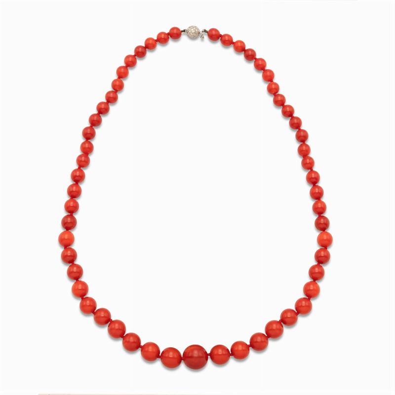 Collana Ad un Filo di Corallo Rosso