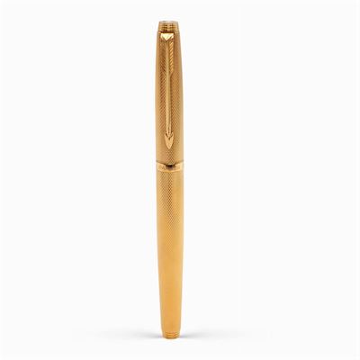 Penna Stilografica Parker