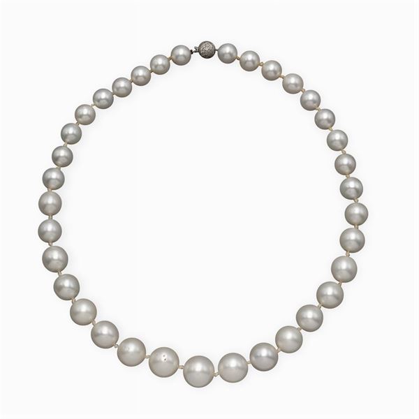 Collana ad un filo di perle South Sea