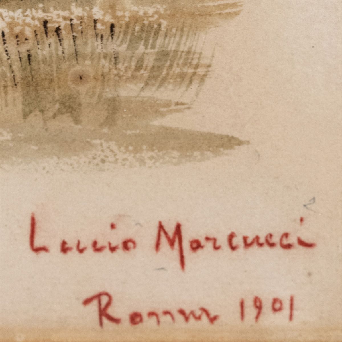 Lucio Marcucci