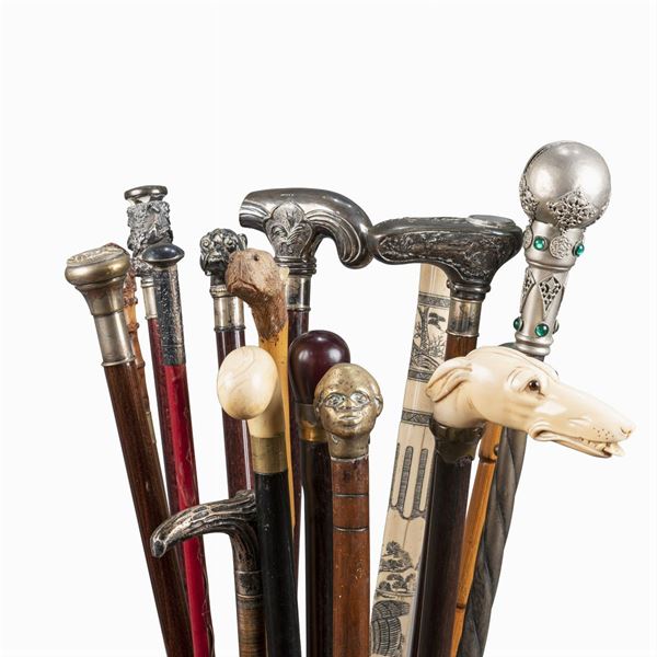 Collezione di bastoni da passeggio (16)