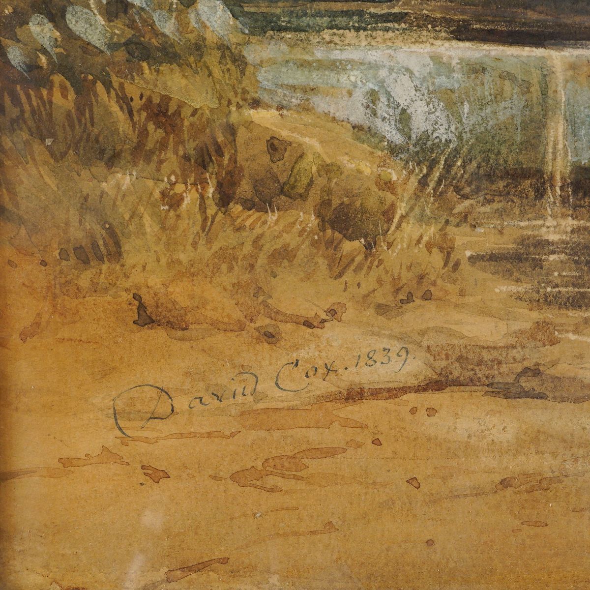 David Cox