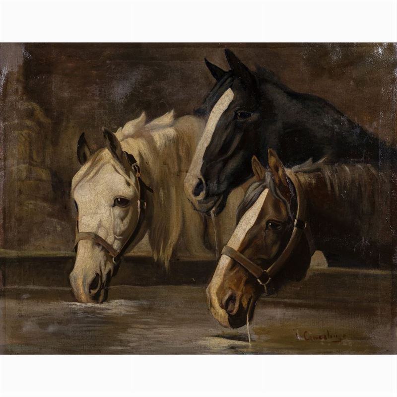 Vincenzo Camerlingo