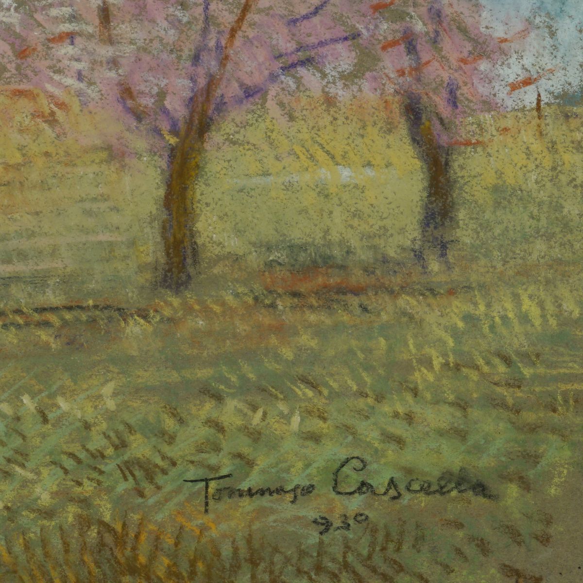 Tommaso Cascella