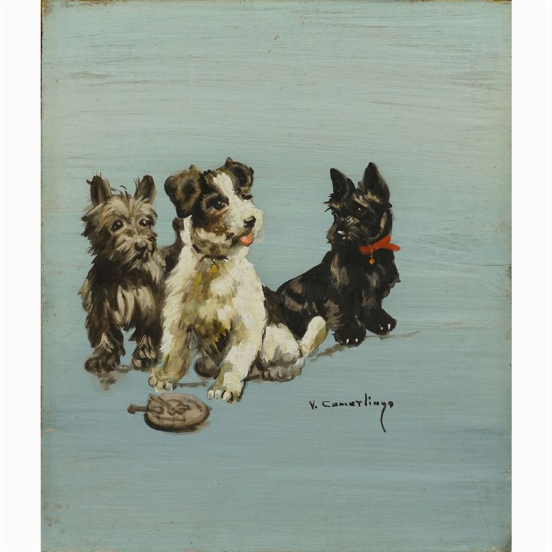 Vincenzo Camerlingo