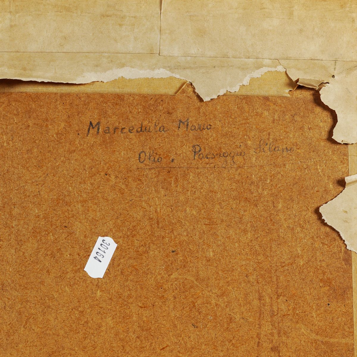 Mario Marcedula