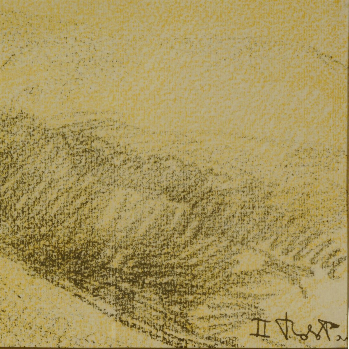 Firma Indecifrabile