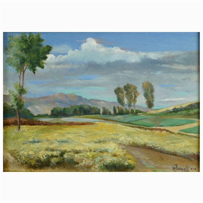R. Jannelli