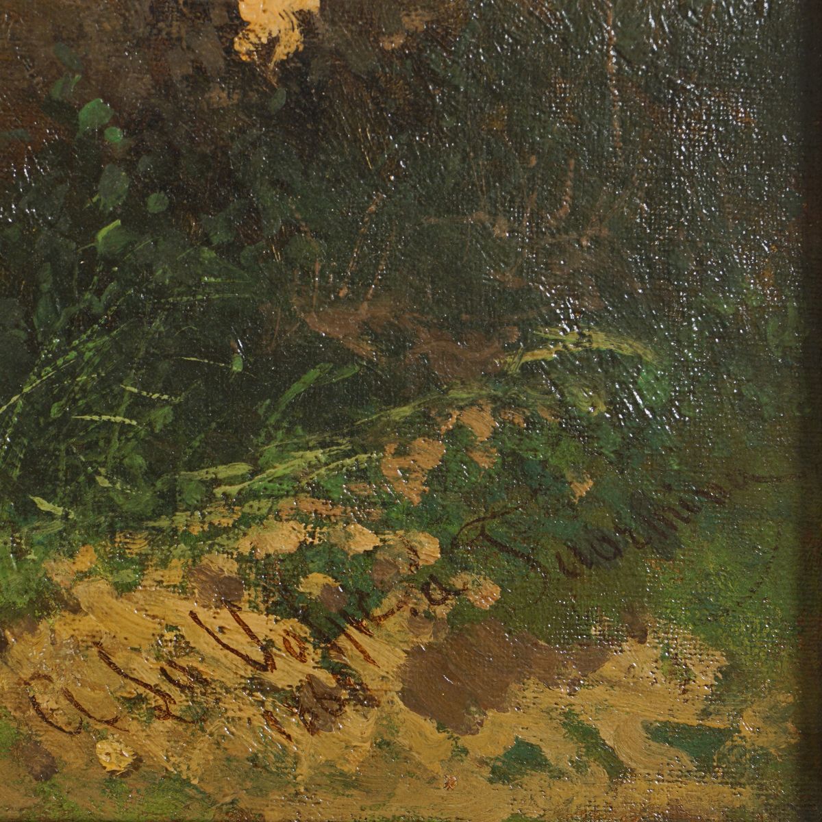 Alessandro la Volpe