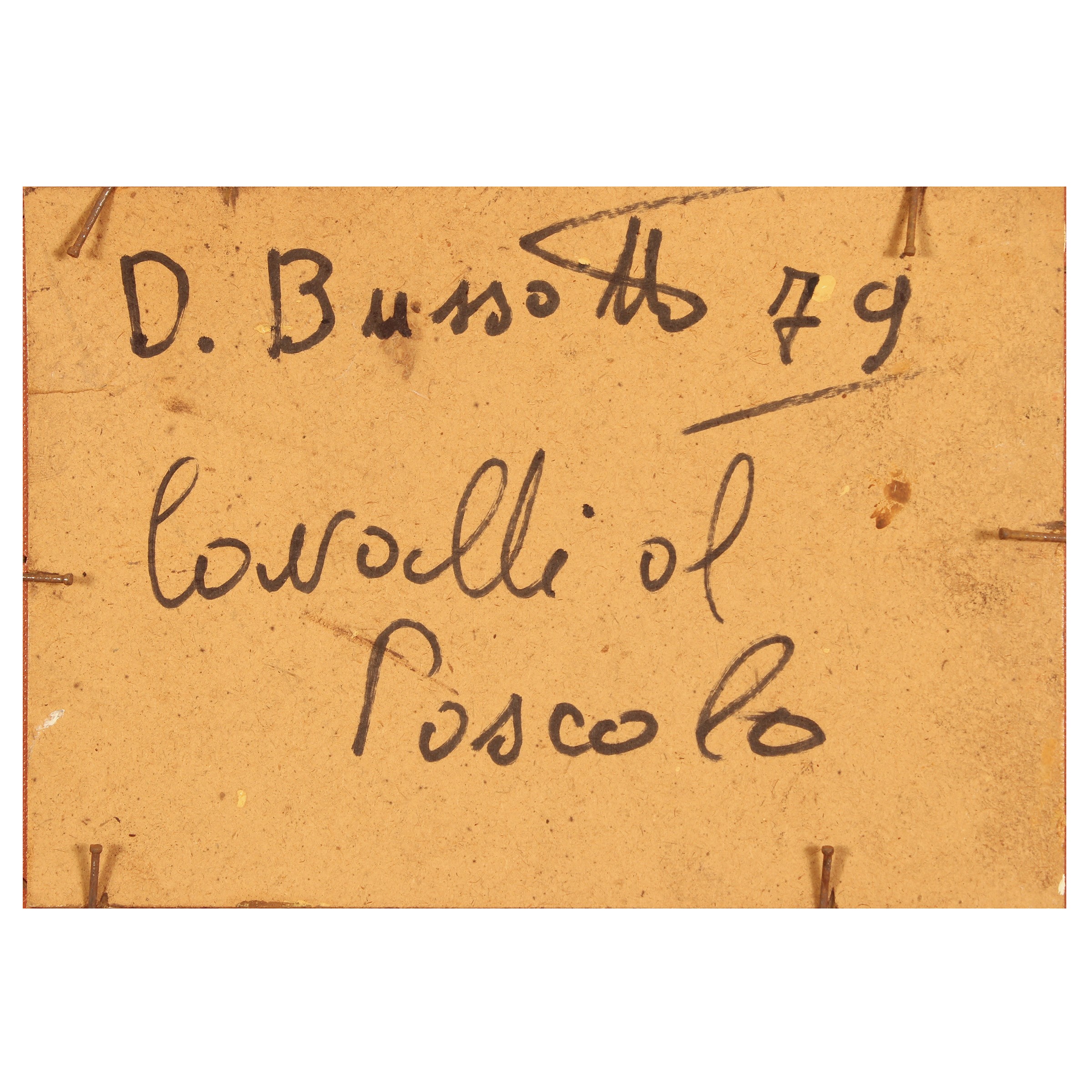 D. Bussotto