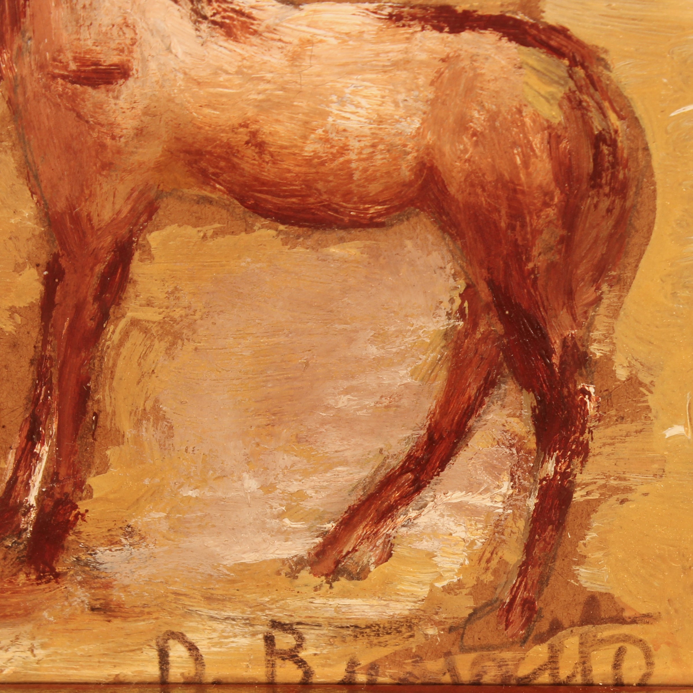 D. Bussotto