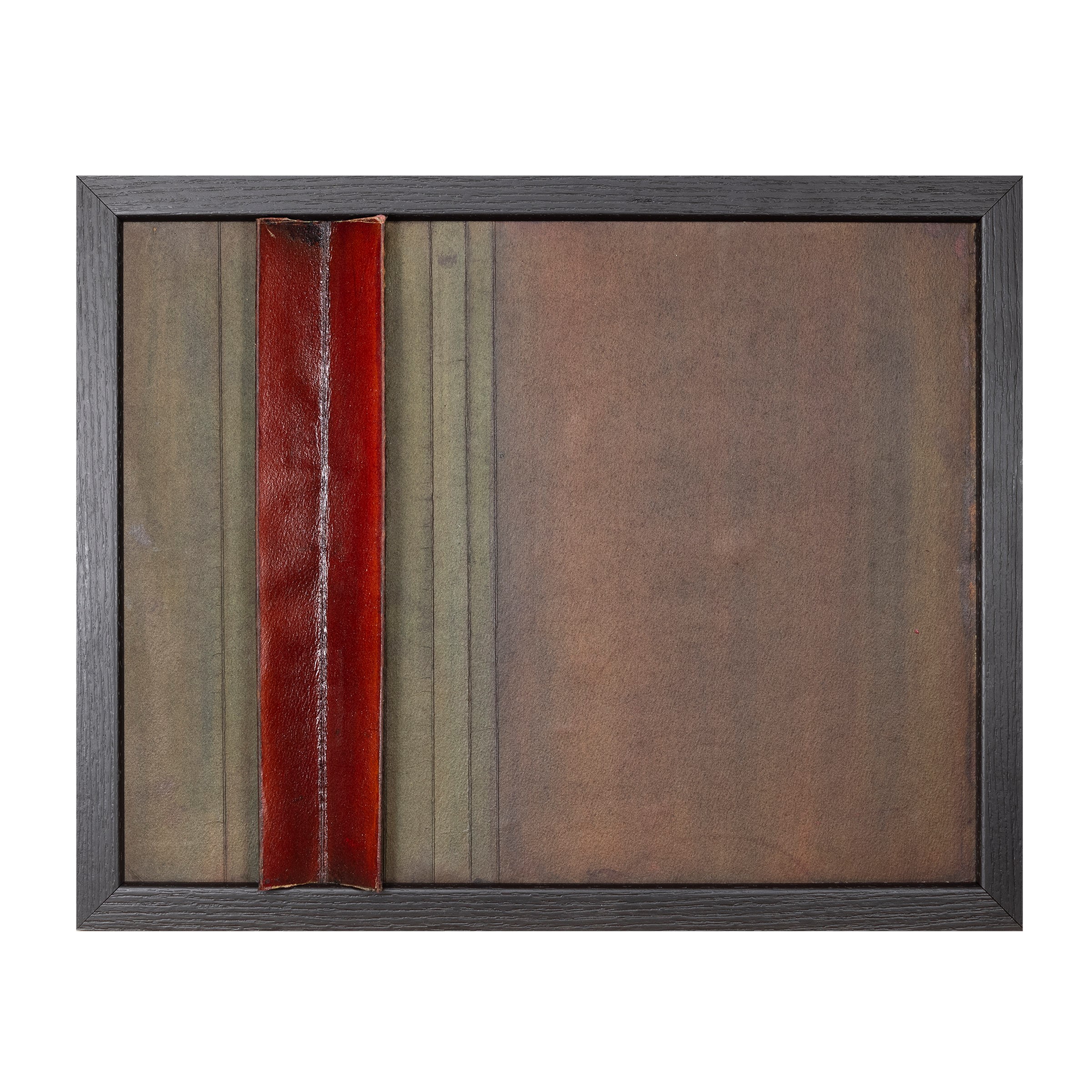 Lucilla Caporilli Ferro