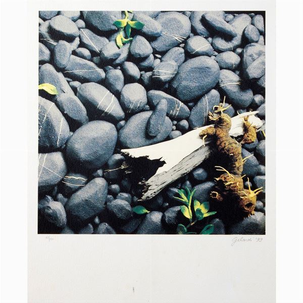Piero Gilardi  (Torino 1942 - 2023)  - Auction Timed Auction Web Only - Colasanti Casa d'Aste