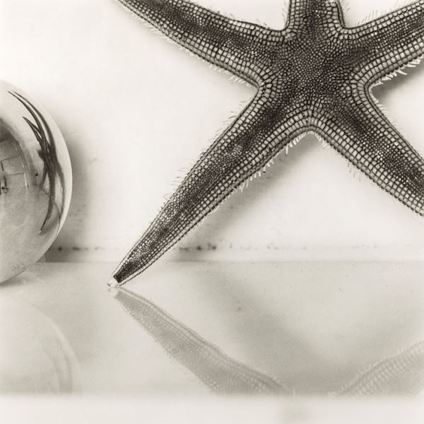 Jeannette Montgomery Barron  (Atlanta 1956)  - Auction Modern and Contemporary Art - Colasanti Casa d'Aste