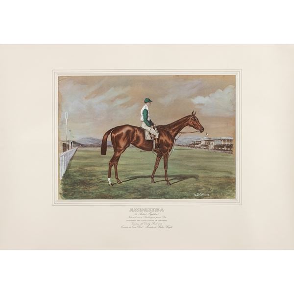 Stampa raffigurante il purosangue Andreina  (67x93 cm.)  - Auction Timed Auction Web Only - Colasanti Casa d'Aste