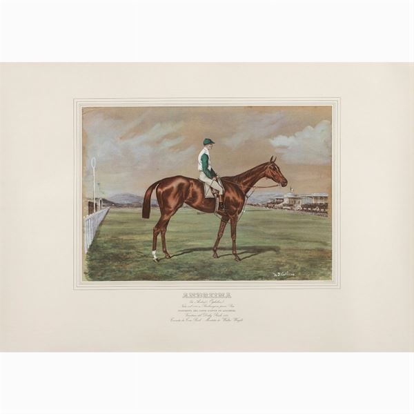 Stampa raffigurante il purosangue Andreina  (67x93 cm.)  - Auction Timed Auction Web Only - Colasanti Casa d'Aste