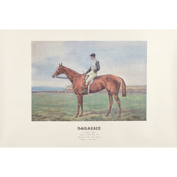 Stampa raffigurante il purosangue Doralice  (67x93 cm.)  - Auction Timed Auction Web Only - Colasanti Casa d'Aste
