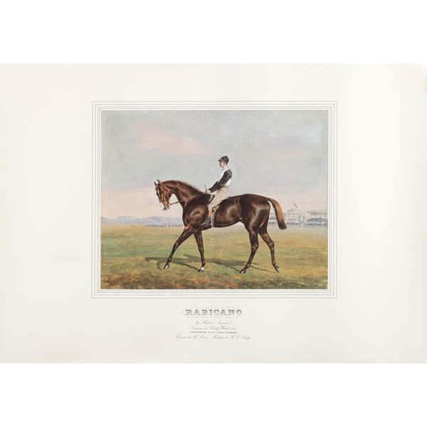 Stampa raffigurante il purosangue Rabicano  (67x93 cm.)  - Auction Timed Auction Web Only - Colasanti Casa d'Aste