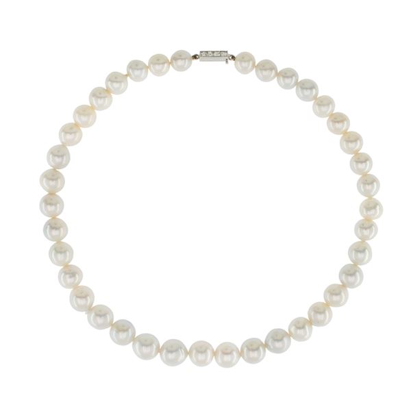 Ventrella South Sea pearl necklace