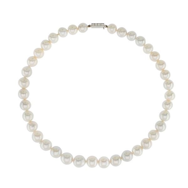 Single strand of Australian pearl necklace