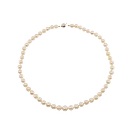 Collana Ad un Filo di Perle Coltivate