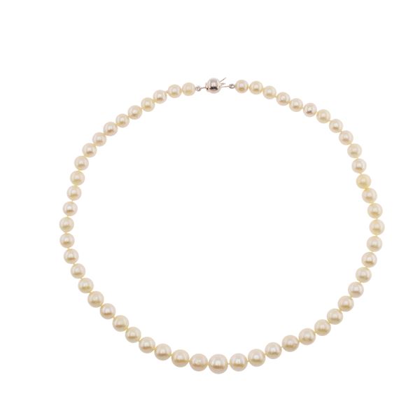 Necklace with one strand of cultured pearls