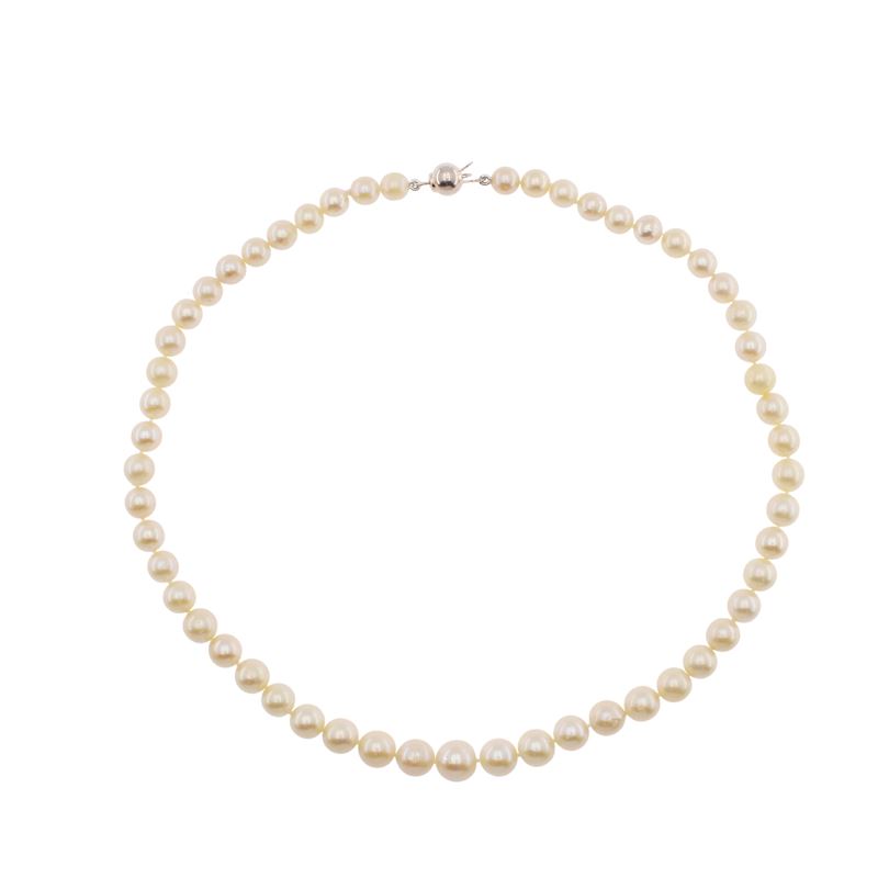 Collana Ad un Filo di Perle Coltivate