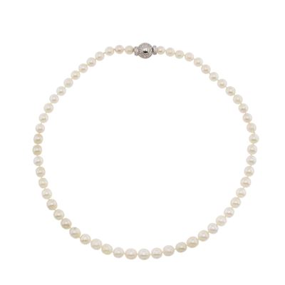 Collana Ad un Filo di Perle Coltivate