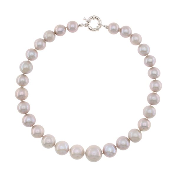 Single strand pearl necklace with silver closure