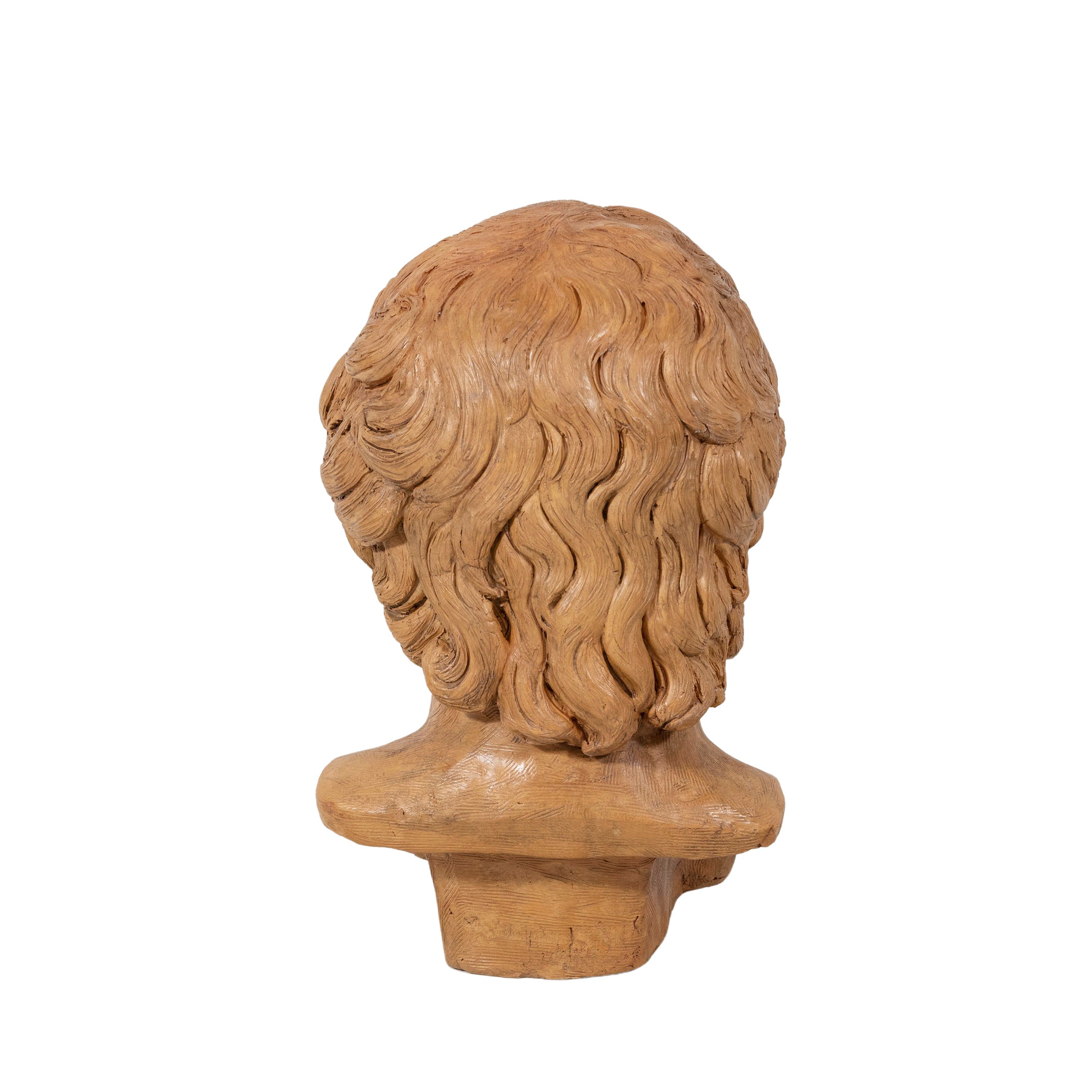 Busto Ritratto in Terracotta
