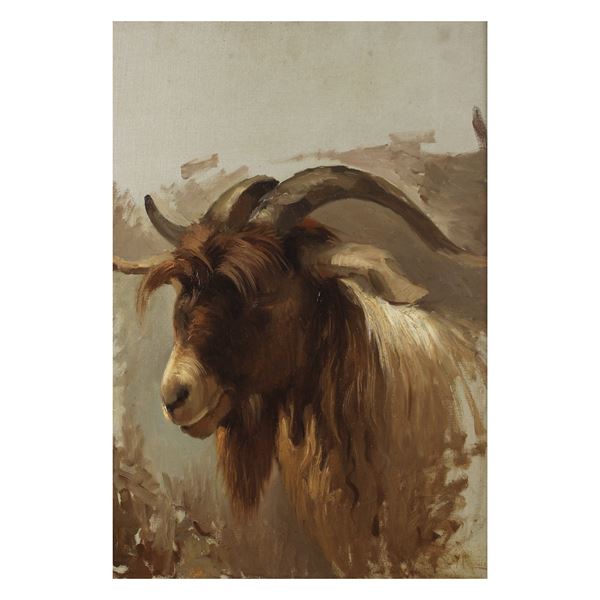 Vincenzo Caprile, attribuito
