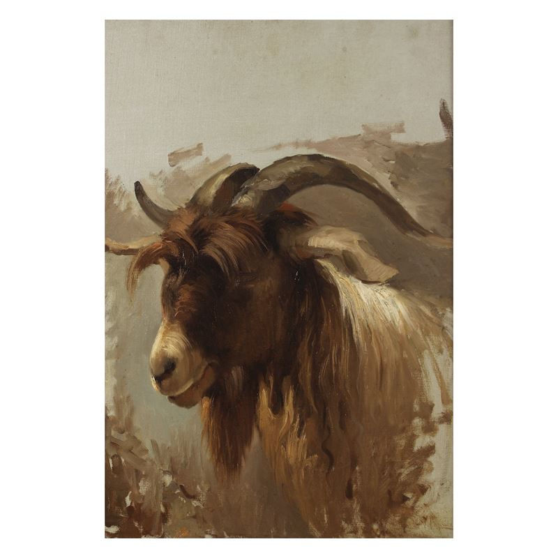 Vincenzo Caprile, Attribuito