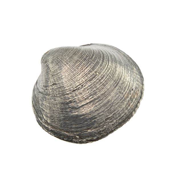 Mario Buccellati shell pendant