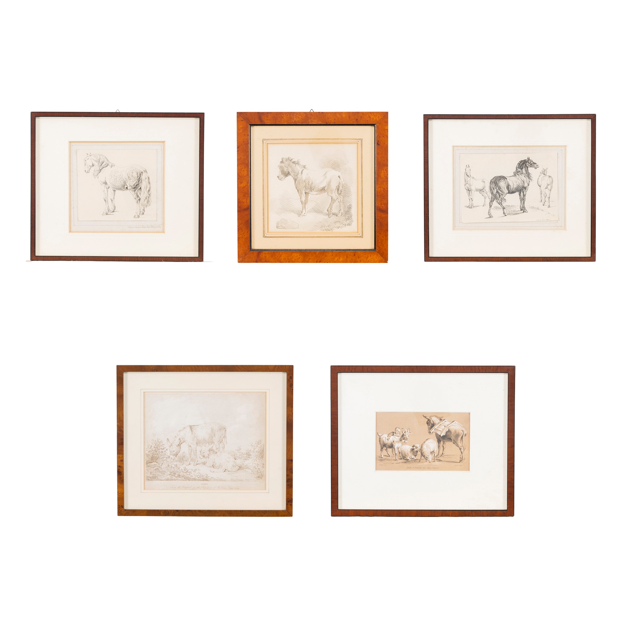 Gruppo di cinque stampe