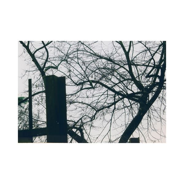 Abbas Gharib  (Teheran 1942)  - Asta Opere del XX Secolo Web Only - Colasanti Casa d'Aste