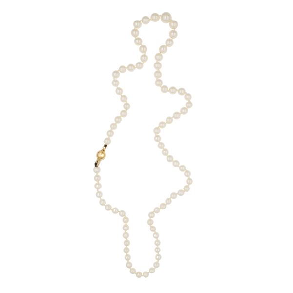Collana ad un filo di perle coltivate a gradazione  - Asta Gioielli e Orologi Web Only - Colasanti Casa d'Aste