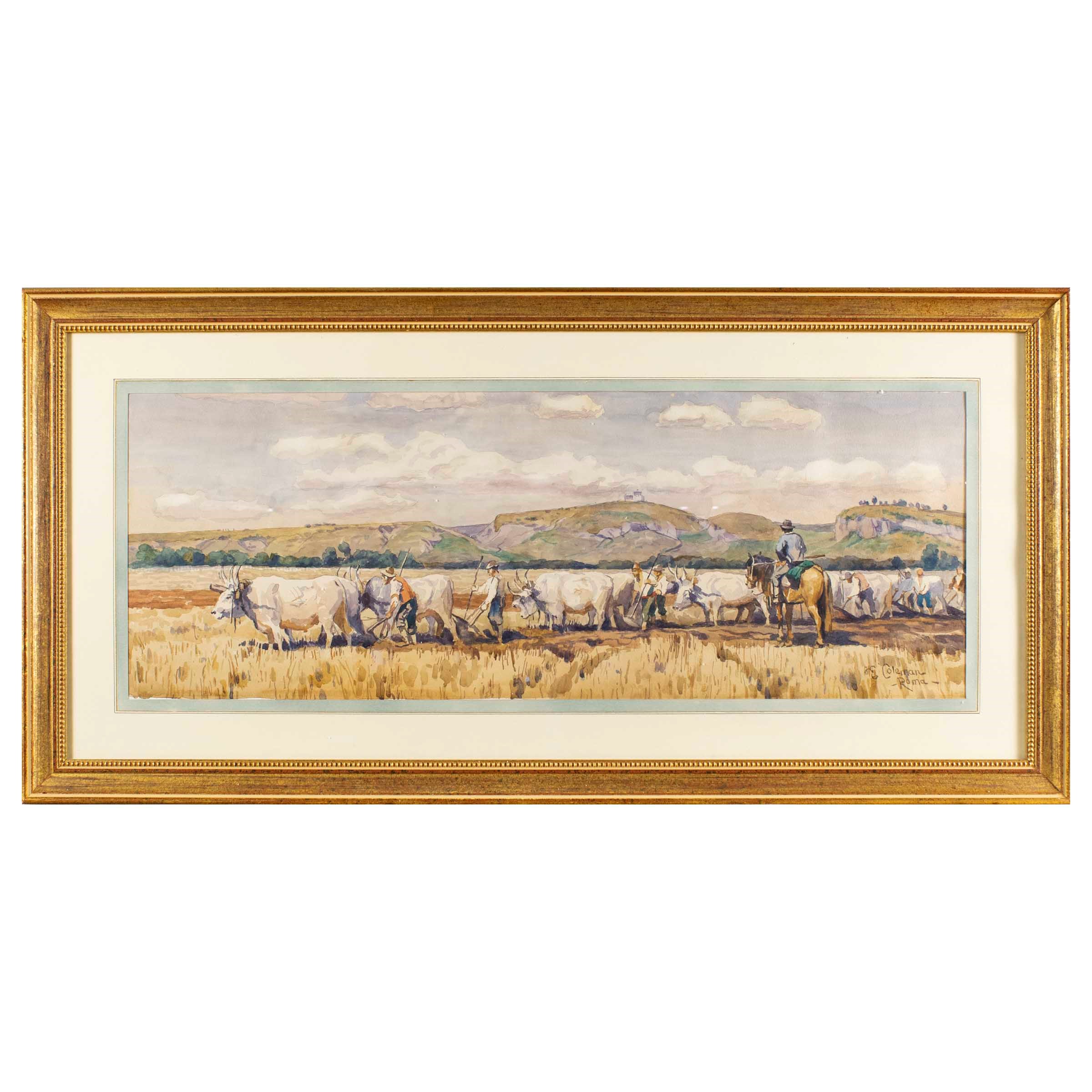 Enrico Coleman, copia da