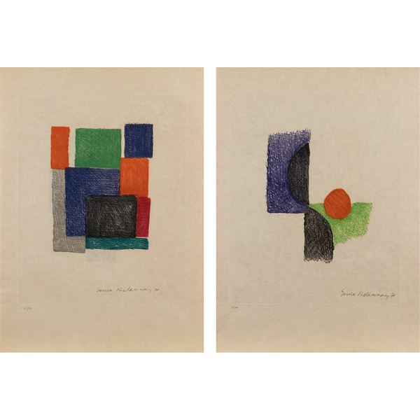 Sonia Delaunay - "La terra impareggiabile"