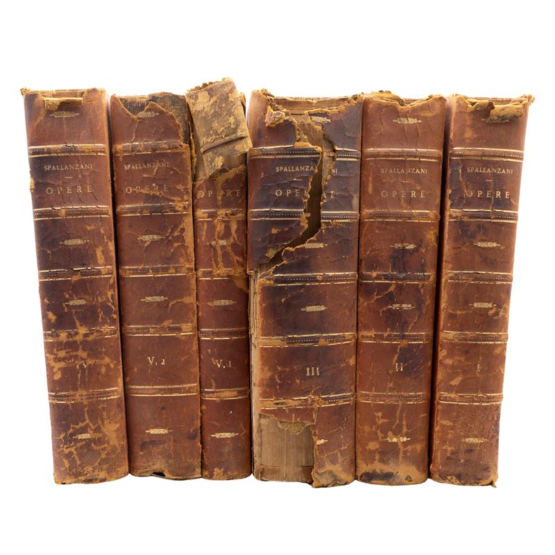 Lazzaro Spallanzani (6)