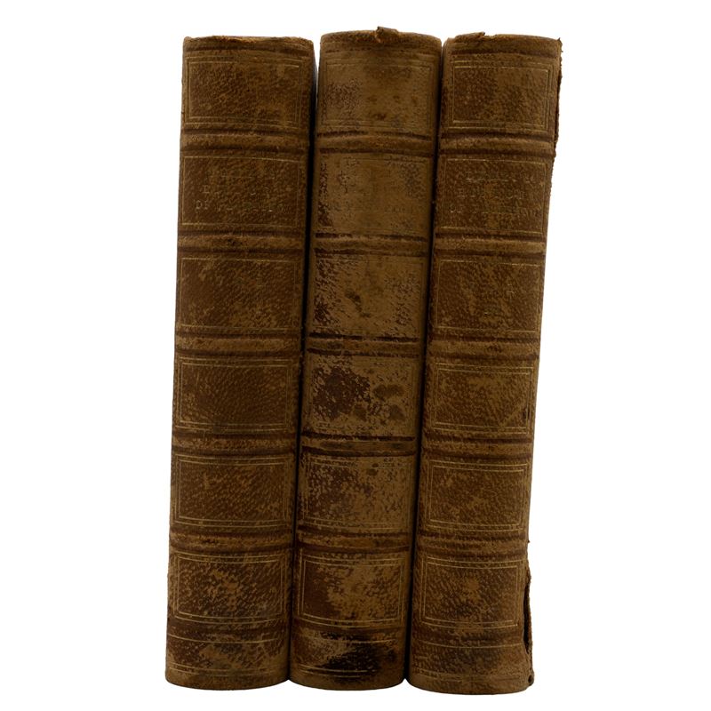 Abate Luigi Lanzi (3)