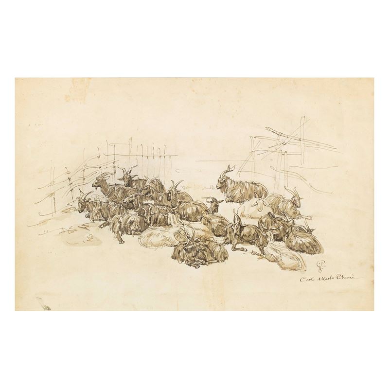 Carlo Alberto Petrucci