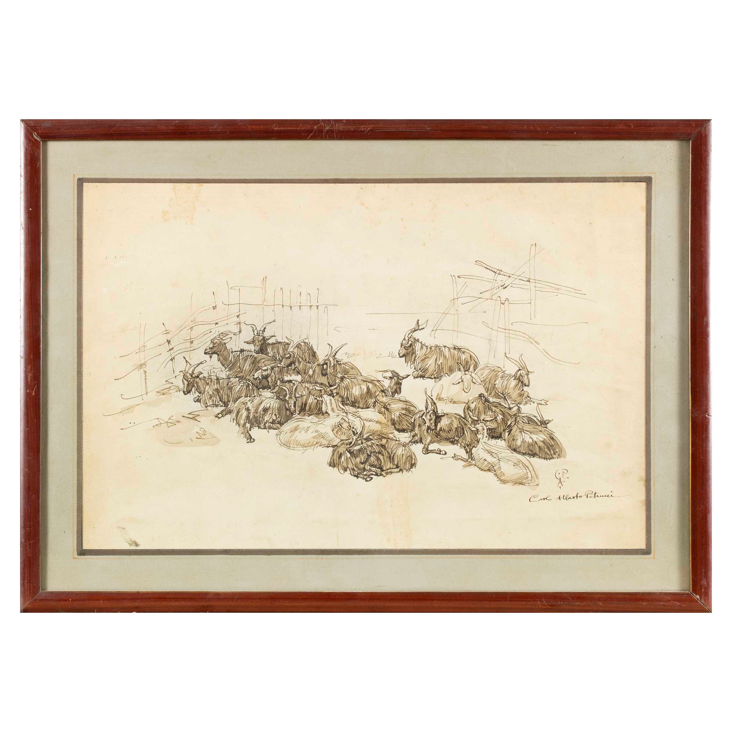 Carlo Alberto Petrucci